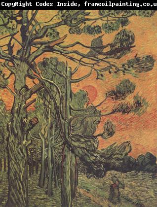 Vincent Van Gogh Pine Trees against a Red Sky with Setting Sun (nn04)